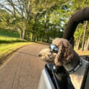 Meet your Posher, Heather